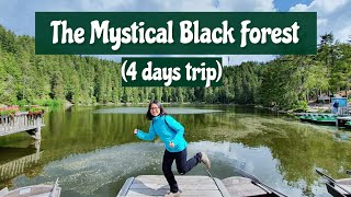 The Mystical Black Forest (Schwarzwald) | Germany's Most Famous Forest