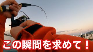 【総集編】釣れた魚のヒットシーン！青物、ドラゴン太刀魚、ヒラメ、釣りの為ならどんな事でもします！