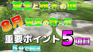 【芝生と雑木の庭】８月のお手入れで超重要な5つのこと！