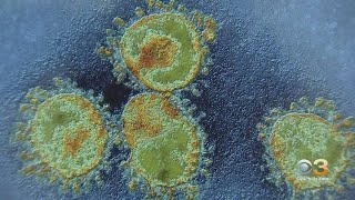 Coronavirus Continues To Spread Across United States