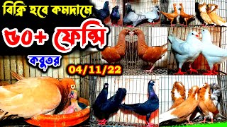 বিশ্বের সেরা ৫০+ জোড়া ফেন্সি কবুতর বিক্রি হবে | একদম সিমিত দামে | কম দামে কবুতর কিনুন খামার থেকে |