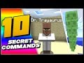 10 Secret Minecraft Commands You Didn't Know Existed 10 Secret Minecraft Commands You Didn't Know Existed