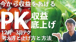 脂肪酸と組み合わせすると良い理由【農業 収益UP】