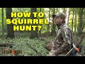 LtH Webinar: How to squirrel hunt in Illinois?