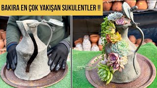 Bakır Güğüm ile Sukulentin harika uyumu😍#succlent#succulentarrangement#bakirgüğüm#sukulentaranjman