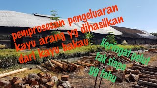 memproses kayu arang dari kayu bakau..