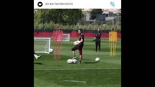 OGC Nice Position Specific