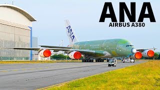 Introducing the First ANA A380