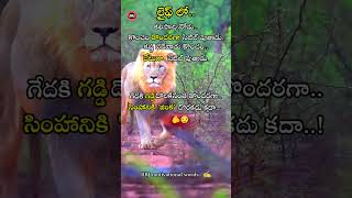 quotes about life lessons in telugu | emotional quotes about life in telugu | life quotes in telugu