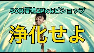 SOR環境2Pick！ビショップ解説！【シャドバ】