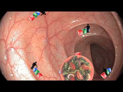 How Fiber Lowers Cholesterol How Fiber Lowers Cholesterol