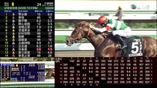 2017 女皇盃 QEII CUP エリザベスII世カップ 新寫實派 NEOREALISM ネオリアリズム 莫雷拉