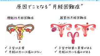 2022第1回はままつ健康フォーラム　講演1　【前編】ちょっと気楽に生理のはなし