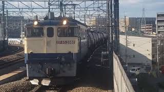 EF65-2080  8460レ川崎貨物行  八丁畷通過