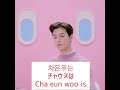 チャウヌ 日本語字幕 韓国語勉強