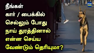 நீங்கள் கார்/ பைக்கில் செல்லும் போது நாய் துரத்தினால் என்ன செய்ய வேண்டும் தெரியுமா?