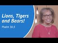 Lions, Tigers, and Bears! - Daily Devotion