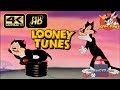 LOONEY TUNES (Looney Toons): A Tale of Two Kitties (1942) (Ultra 4K) | Mel Blanc, Tedd Pierce