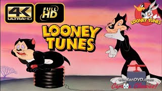 LOONEY TUNES (Looney Toons): A Tale of Two Kitties (1942) (Ultra 4K) | Mel Blanc, Tedd Pierce