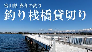 貸切【釣り桟橋】富山横断 #グレ #メジナ