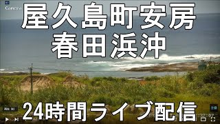 鹿児島県熊毛郡 屋久島町安房　春田浜タイドプール沖　24時間ライブ配信　今日の海峡は？