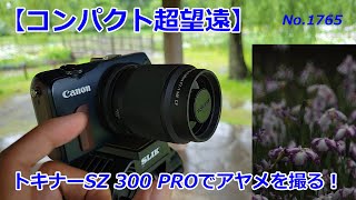 【SZ 300 PRO】超コンパクト超望遠で撮るアヤメ（動画No.1765）