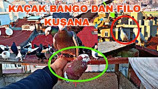 KAÇAK BANGO DAN FİLO KUŞANA NASİL DEĞİŞTİ ŞOK OLAY