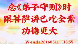 卢台长开示：念《弟子守则》时跟菩萨讲已吃全素，功德更大Wenda20160311  13:55