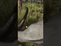 454 vs 💎 Diamond 🐃 WATER BUFFALO On The Move - theHunter: Call of the Wild #shorts