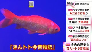 岐阜にちなんだ水槽展示も…アクア・トトぎふで金魚の企画展 品種改良の歴史と共に30種類100匹を紹介