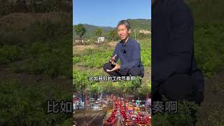 2025年禁用脱氢乙酸钠？吃面包糕点的朋友请注意