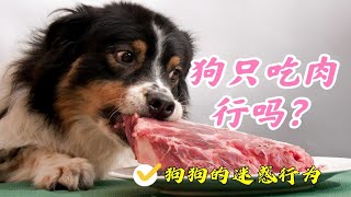 狗狗的迷惑行为：如果狗狗只吃肉可以吗