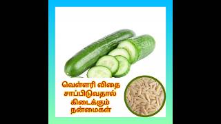 வெள்ளரி விதை சாப்பிடுவதால் கிடைக்கும் நன்மைகள் #herbals #tamil health💡 tips #cucumber