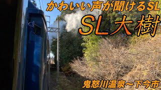 かわいいロリの声が聞けるSL大樹に乗る。【鬼怒川温泉〜下今市】