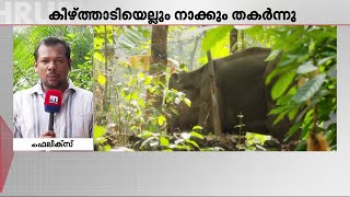 കണ്ണൂരിൽ മുറിവ് പറ്റി ആന ചരിഞ്ഞ സംഭവം; വായിലെ മുറിവ് പന്നിപ്പടക്കം കടിച്ചുണ്ടായത്