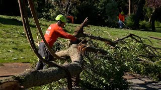 Tree companies hard at work in Mass. after multiple tornadoes hit