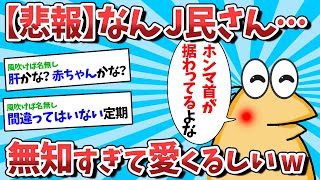 【2ch面白いスレ】なんJ民、無知すぎて愛くるしいｗｗｗ【ゆっくり解説】