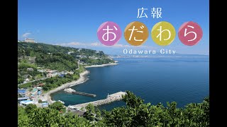 2024年10月21日から10月27日放送分「小田原市基本構想行政案に対するパブリックコメント募集」「生涯学習フェスティバル【再放送】」