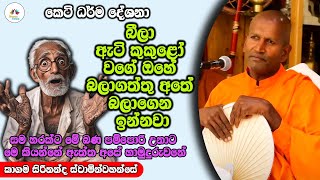 බීලා ඇටි කුකුළෝ වගේ ඔහේ බලාගත්තු අතේ බලාගෙන ඉන්නවා | Dhamma Vahini #kagamasirinandathero