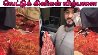 வெட்டுக் கிளிகள் விற்பனை செய்யப்படுகிறது