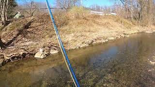 PA Trout Season opening Day 2022, Fly Fishing Flaugherty Run