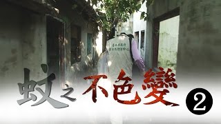 「以菌治蚊」怎麼辦到的