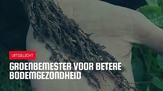 Uitgelicht | Groenbemester voor betere bodemgezondheid