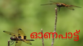 കൊട്ടിപ്പാട്ടോണം  || Malayalam onam song