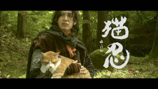 大野拓朗ｘ金時（猫）映画「猫忍」特報