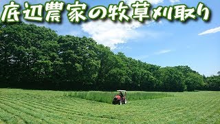 底辺農家の牧草刈取り　ヤンマートラクター　EG225　スター農機