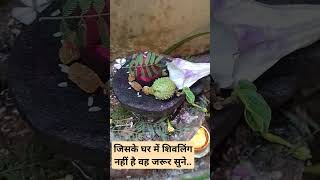 जिसके घर में शिवलिंग नहीं है वह जरूर सुने#sorts #panditprdeepmishrakeupay #pradeepmishr #viralvideo