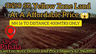 ପାହାଳ ରେ ଘରବାରି Yellow Zone Plot NH 16 to Distance 400mtrs Only |  Affordable Price #bhubaneswar