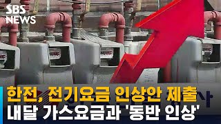 한전, 전기요금 인상안 제출…내달 가스요금과 '동반 인상' / SBS