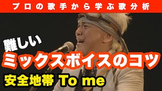 【歌分析】安全地帯 玉置浩二さん / To me Live.take